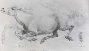 William Strutt Lady Blunt-s Arab mare,Sherifa USA oil painting artist